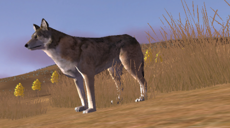 wolfquest_by_mortify11-d4oppxa.png